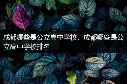 成都哪些是公立高中学校，成都哪些是公立高中学校排名