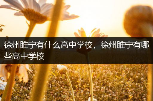 徐州睢宁有什么高中学校，徐州睢宁有哪些高中学校