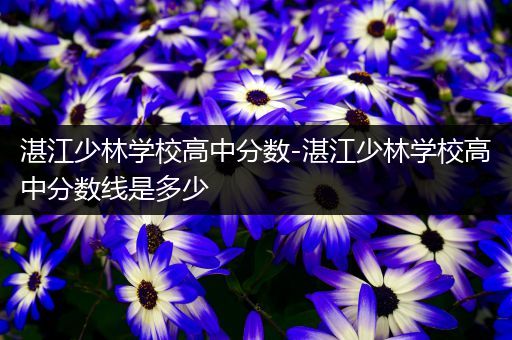 湛江少林学校高中分数-湛江少林学校高中分数线是多少
