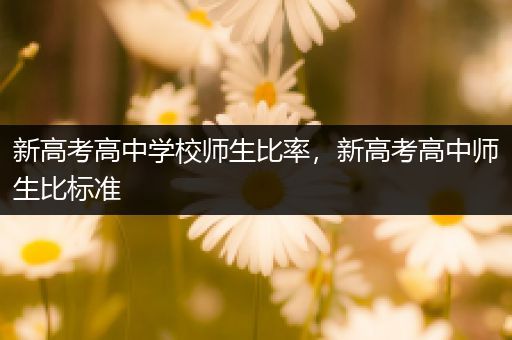 新高考高中学校师生比率，新高考高中师生比标准