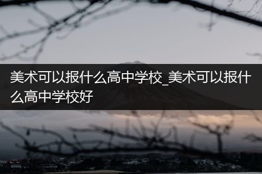 美术可以报什么高中学校_美术可以报什么高中学校好