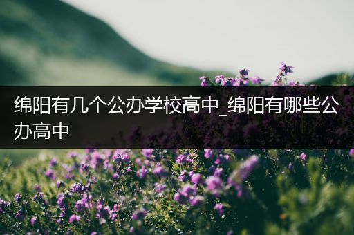 绵阳有几个公办学校高中_绵阳有哪些公办高中