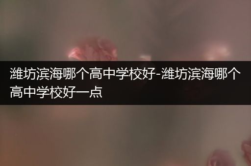 潍坊滨海哪个高中学校好-潍坊滨海哪个高中学校好一点