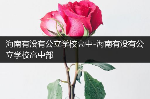 海南有没有公立学校高中-海南有没有公立学校高中部