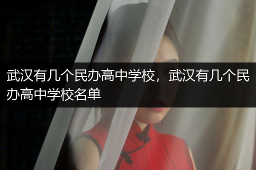 武汉有几个民办高中学校，武汉有几个民办高中学校名单