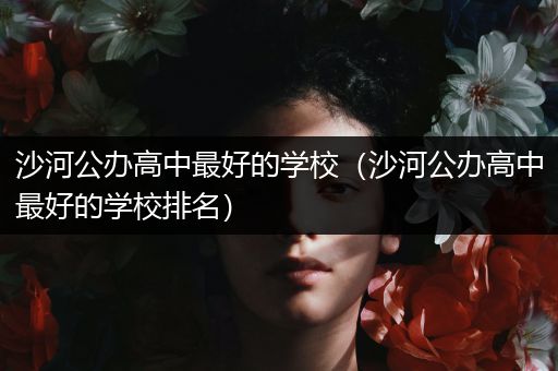 沙河公办高中最好的学校（沙河公办高中最好的学校排名）