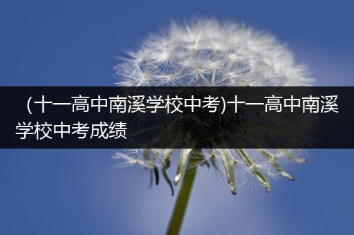 （十一高中南溪学校中考)十一高中南溪学校中考成绩