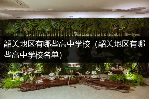 韶关地区有哪些高中学校（韶关地区有哪些高中学校名单）