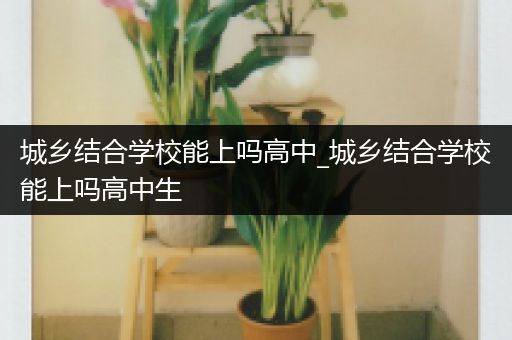 城乡结合学校能上吗高中_城乡结合学校能上吗高中生