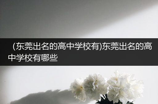 （东莞出名的高中学校有)东莞出名的高中学校有哪些