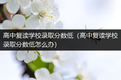 高中复读学校录取分数低（高中复读学校录取分数低怎么办）