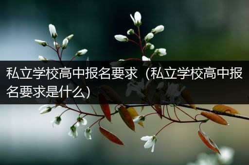 私立学校高中报名要求（私立学校高中报名要求是什么）