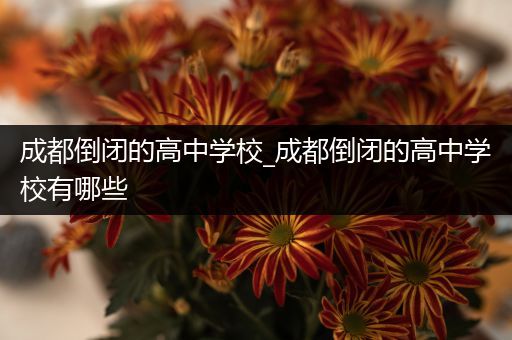 成都倒闭的高中学校_成都倒闭的高中学校有哪些