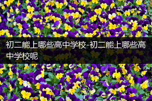 初二能上哪些高中学校-初二能上哪些高中学校呢