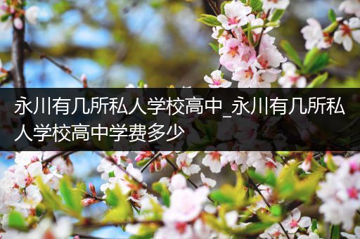 永川有几所私人学校高中_永川有几所私人学校高中学费多少