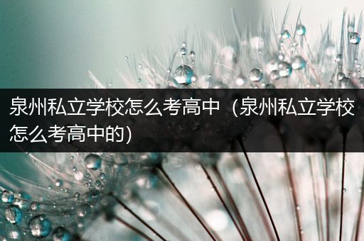 泉州私立学校怎么考高中（泉州私立学校怎么考高中的）