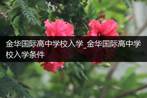 金华国际高中学校入学_金华国际高中学校入学条件