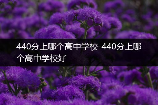 440分上哪个高中学校-440分上哪个高中学校好