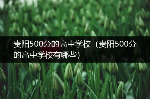 贵阳500分的高中学校（贵阳500分的高中学校有哪些）