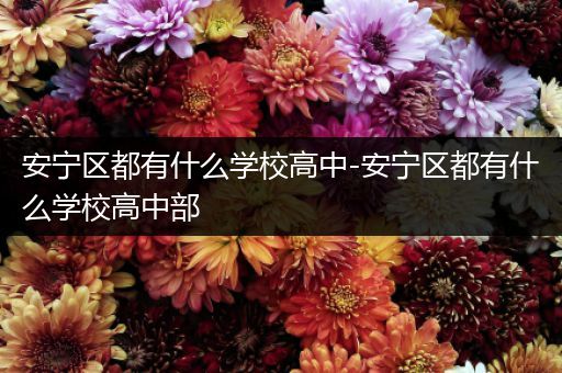 安宁区都有什么学校高中-安宁区都有什么学校高中部