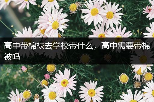 高中带棉被去学校带什么，高中需要带棉被吗