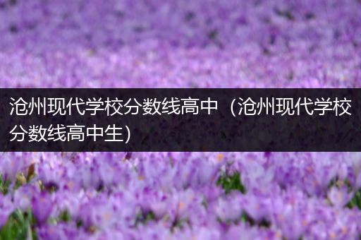 沧州现代学校分数线高中（沧州现代学校分数线高中生）