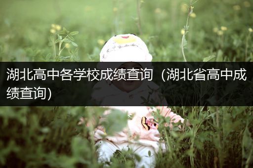 湖北高中各学校成绩查询（湖北省高中成绩查询）