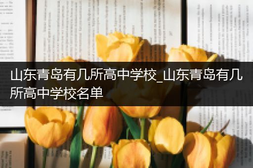 山东青岛有几所高中学校_山东青岛有几所高中学校名单