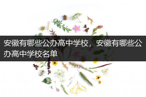 安徽有哪些公办高中学校，安徽有哪些公办高中学校名单