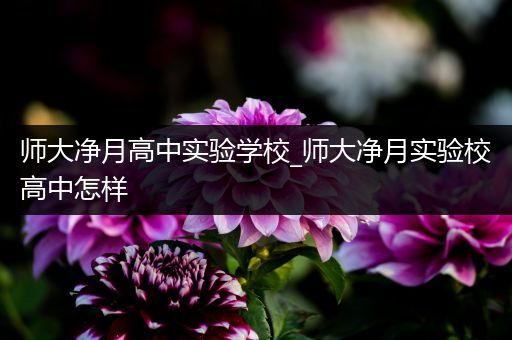 师大净月高中实验学校_师大净月实验校高中怎样