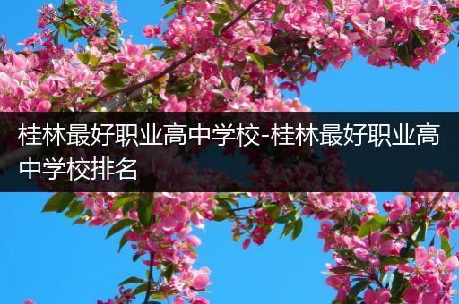 桂林最好职业高中学校-桂林最好职业高中学校排名