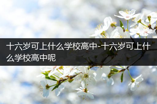 十六岁可上什么学校高中-十六岁可上什么学校高中呢