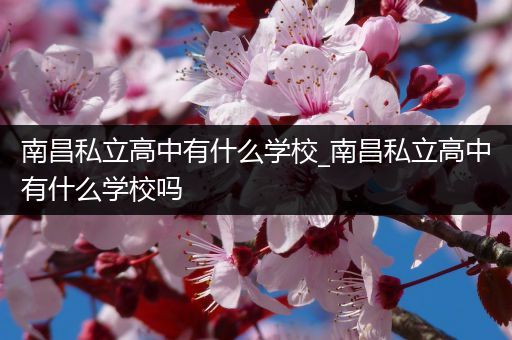南昌私立高中有什么学校_南昌私立高中有什么学校吗