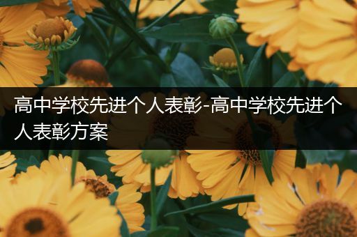 高中学校先进个人表彰-高中学校先进个人表彰方案