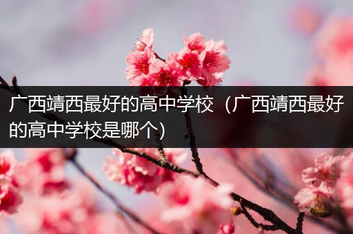 广西靖西最好的高中学校（广西靖西最好的高中学校是哪个）