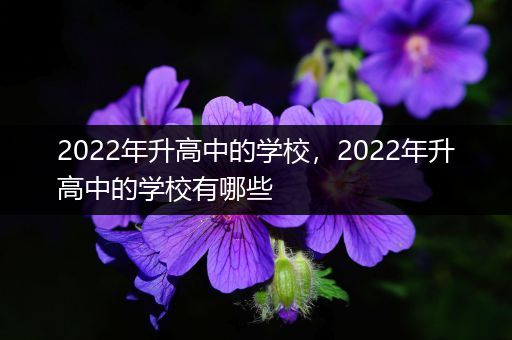 2022年升高中的学校，2022年升高中的学校有哪些