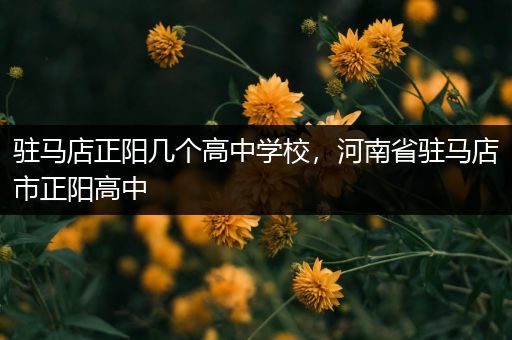 驻马店正阳几个高中学校，河南省驻马店市正阳高中
