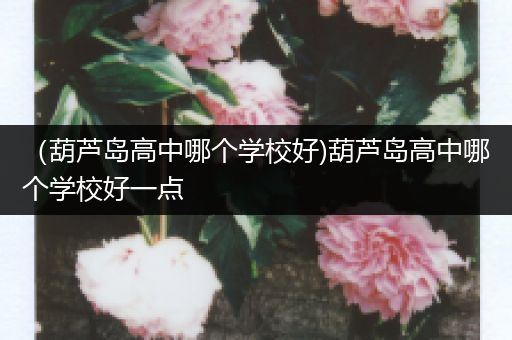 （葫芦岛高中哪个学校好)葫芦岛高中哪个学校好一点