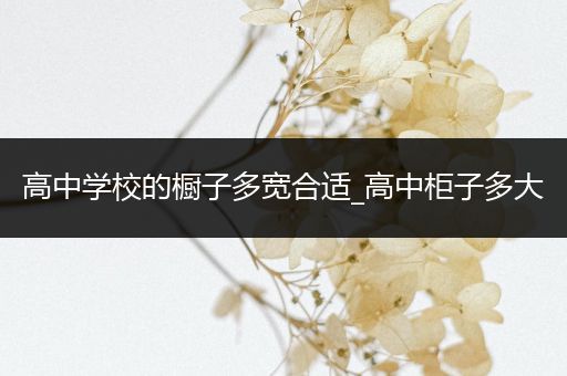 高中学校的橱子多宽合适_高中柜子多大