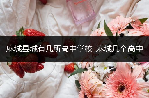 麻城县城有几所高中学校_麻城几个高中