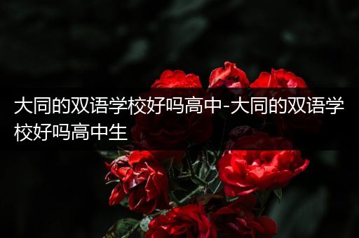 大同的双语学校好吗高中-大同的双语学校好吗高中生