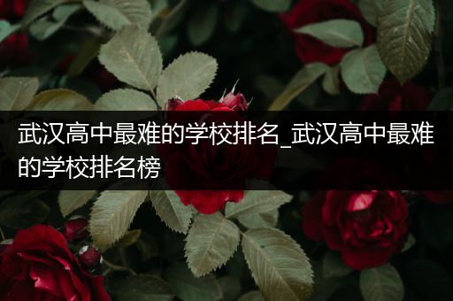 武汉高中最难的学校排名_武汉高中最难的学校排名榜