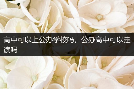 高中可以上公办学校吗，公办高中可以走读吗