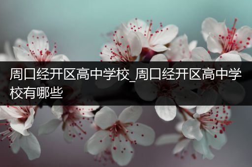 周口经开区高中学校_周口经开区高中学校有哪些