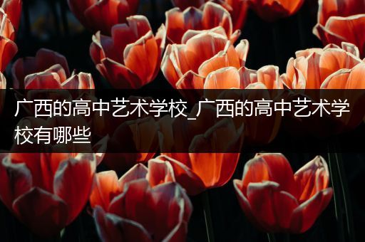 广西的高中艺术学校_广西的高中艺术学校有哪些