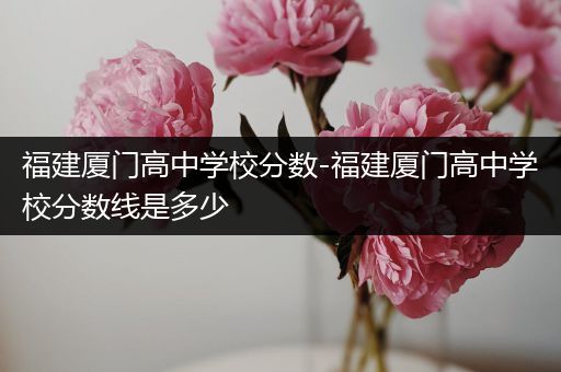 福建厦门高中学校分数-福建厦门高中学校分数线是多少