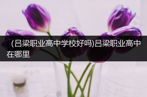 （吕梁职业高中学校好吗)吕梁职业高中在哪里