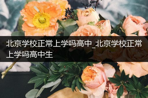 北京学校正常上学吗高中_北京学校正常上学吗高中生