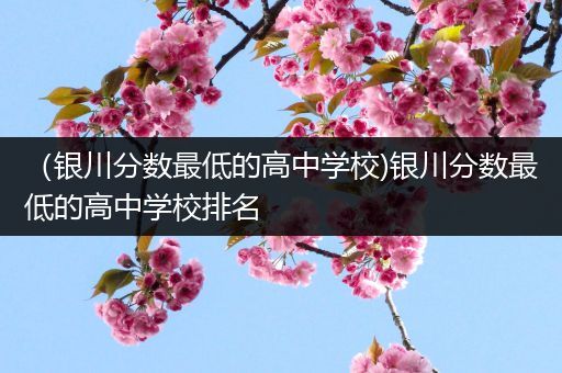 （银川分数最低的高中学校)银川分数最低的高中学校排名