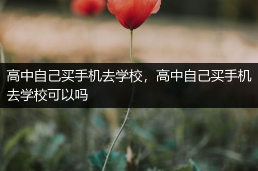 高中自己买手机去学校，高中自己买手机去学校可以吗